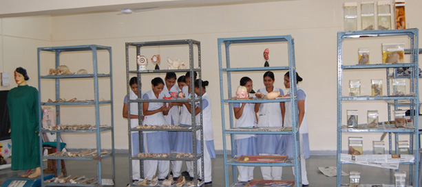 College of Nursing