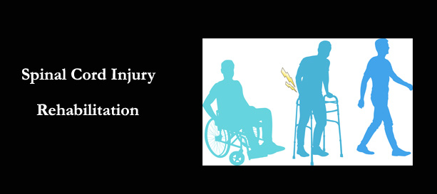Dr. A.P.J. Abdul Kalam College of Physiotherapy